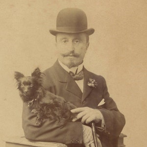 Il collezionista - Fotografia antica originale CdV