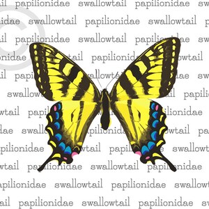 Printable Swallowtail Butterfly Art Image PDF Download