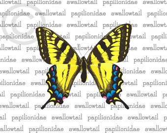 Printable Swallowtail Butterfly Art Image PDF Download