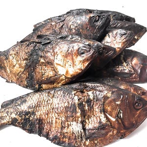 Bonny Fish with Skin 20pcs