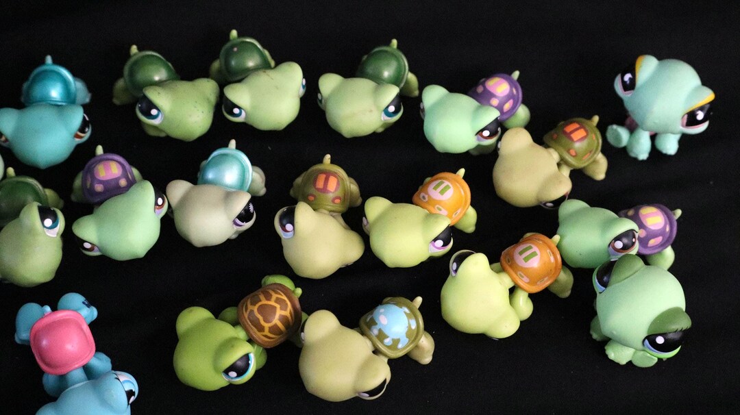LPS Turtles, Littlest Pet Shop Original Authentic Hasbro, Poultry in ...