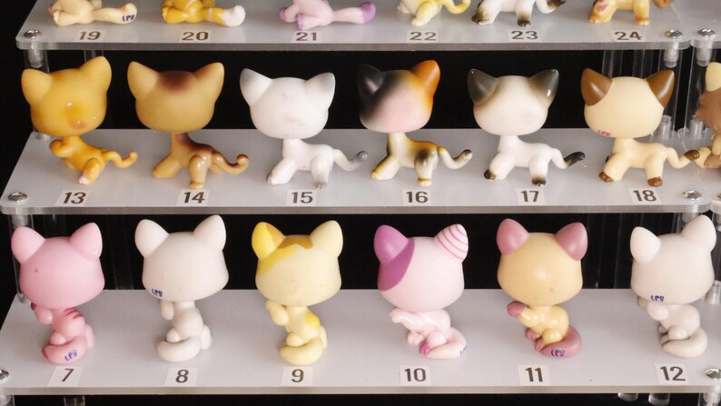 Littlest Pet Shop Katzen Kitten #1074 #1053 #1371 #2414 Hasbro Authentisch LPS