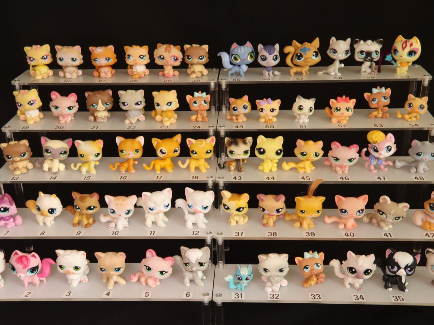 LPS #1411 + VARIANT LITTLEST PETSHOP ORIGINAL AUTHENTIC PERSIAN CAT