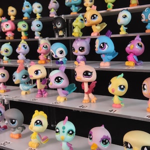May include: A collection of colorful bird figurines with large eyes and various poses. The figurines are displayed on tiered shelves, showcasing a variety of colors including blue, pink, yellow, and purple. Each figure has unique details.