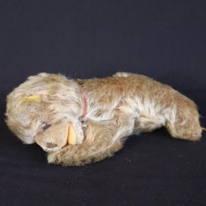 Può includere: Un orsacchiotto di peluche vintage in posizione sdraiata. L'orso ha una pelliccia marrone chiaro, un collare rosso e un'etichetta gialla sull'orecchio. La sua bocca è aperta, rivelando un colore arancione chiaro. L'orso è su uno sfondo nero.