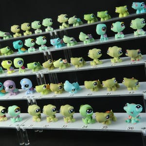 Op de afbeelding: Een verzameling kleurrijke schildpadfiguren tentoongesteld op een meerlaagse, heldere acryl plank. De schildpadden variëren in kleur, waaronder groen, blauw, geel en paars. Elke figuur heeft grote ogen en een uniek ontwerp.