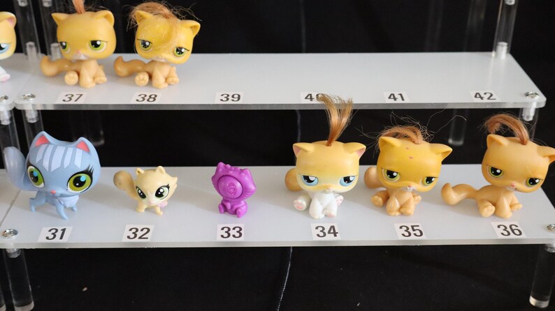 Littlest Pet Shop HASBRO – Chats 3585 Et 3586 – Sphynx Et Tigre – Neufs
