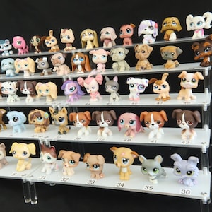 Könnte beinhalten: Eine mehrstufige Präsentation von Hundefiguren in verschiedenen Farben und Designs. Die Figuren sind auf transparenten Acrylregalen angeordnet und zeigen eine Vielzahl von Rassen und Posen. Jede Figur hat einen einzigartigen Ausdruck und Farbschema.