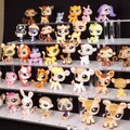 LPs featuring various animals, Littlest Pet Shop, authentic original Hasbro! Lots for collectors, vintage, price per piece. product logo