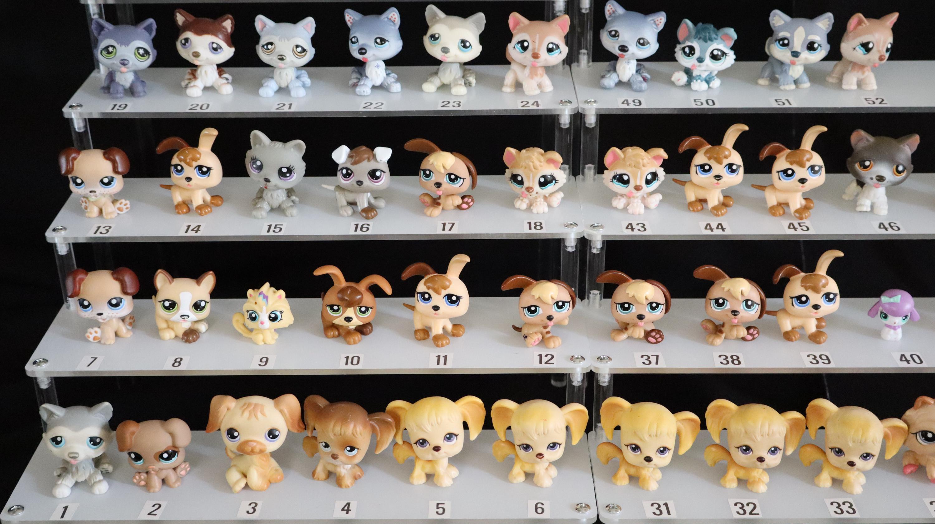 Kotek Figurka Littlest Pet Shop Szortchery Lps Shorthair Zabawki