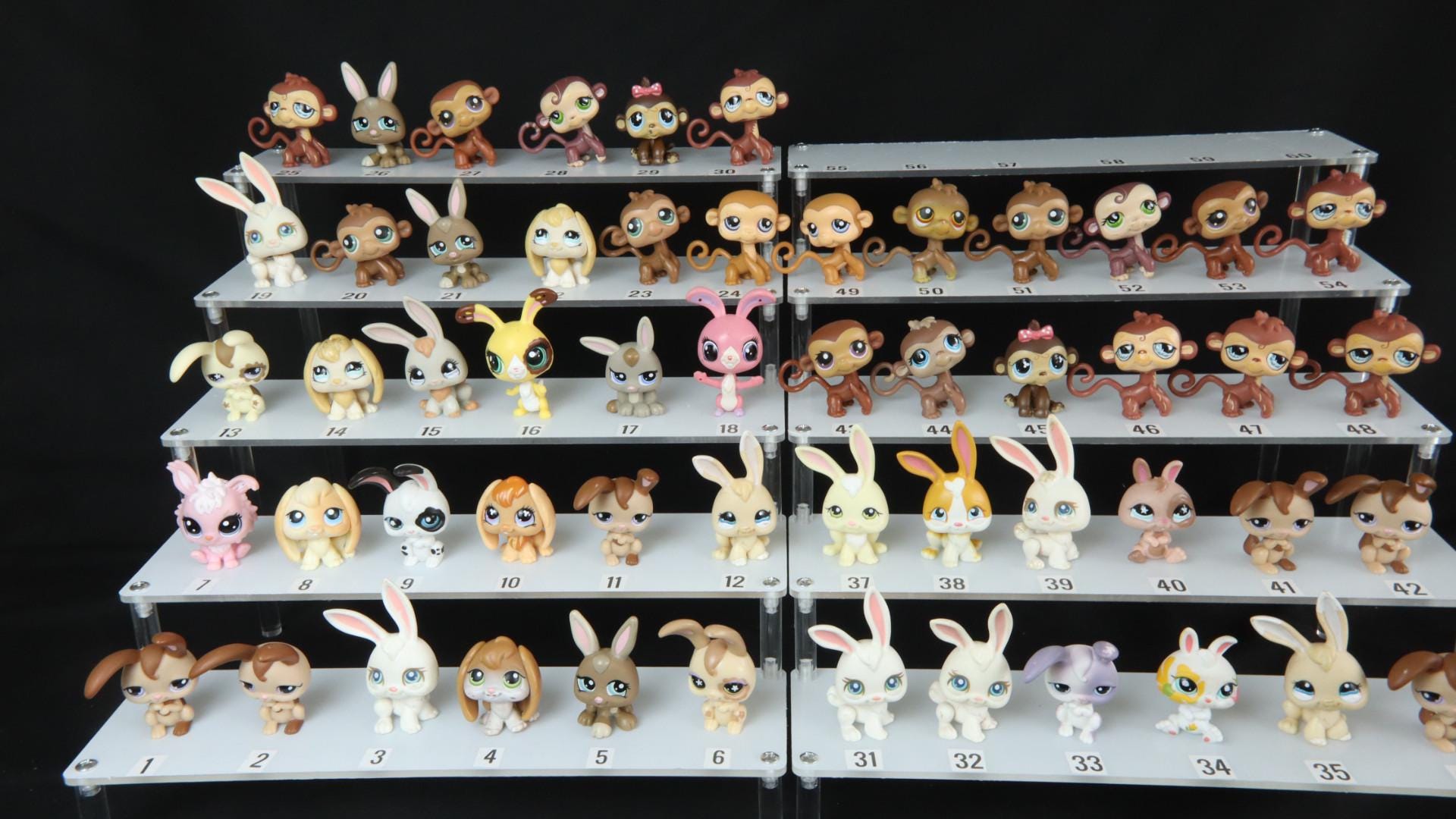 HasbroのLittlest Pet Shopシリーズ　耳が垂れたウサギ il_fullxfull.7874077322_q948.jpg