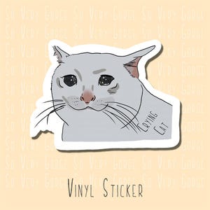 Crying Cat Sticker  - Sad Cat - Sad Cat - Serious Cat - Memes and Vines - Sticker - Cat Sticker - Bottles, Tablets, Laptops