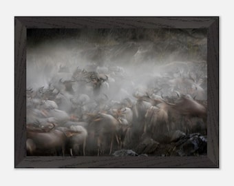 Wildebeest Animal | Maasai Mara Kenya - Migration Photography Framed Wall Art