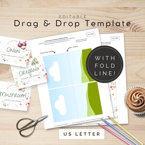 Modello di stampa per topper per biglietti da buffet, trascina e rilascia in Canva, segnaposto 4×6" con linea di piega, lettera USA, adatto per plotter / TPL000
