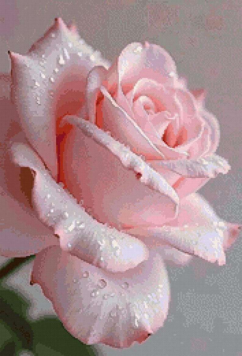Pink Rose Cross Stitch Pattern: Floral Embroidery Design (PDF Pattern ...