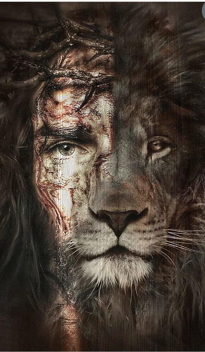 Patterns cross stitch "JESUS. the Lamb and Lion"  146x250 stitches 60 colors (15 solid, 45 blands) . Pdf format. Color card, instructions.