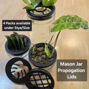 Mason Jar Propagation Lid - Standard or Wide - Propagate Plants - Plant Propagation Station- Houseplant Gift image 1