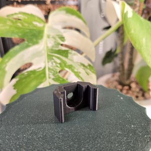 May include: A small, dark gray plastic plant support clip. The clip has a U-shaped design with a circular hole in the center. The clip is sitting on a dark green textured surface, with a blurred background of green and white plant leaves.