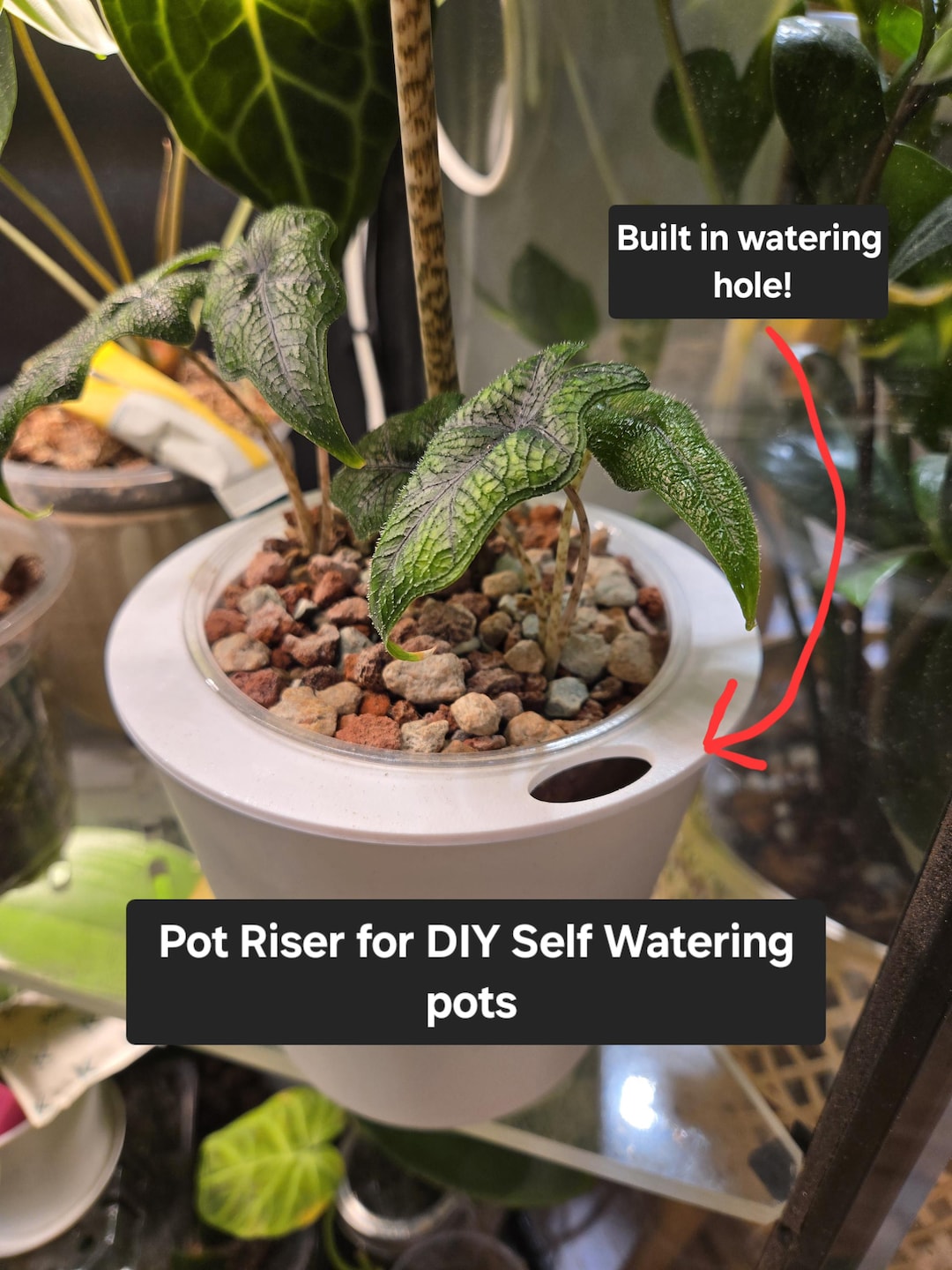 Pot Risers Raiser Nursery Pot Risers(5 Pack) for DIY Self Watering Pot Setup - Flat Disc ...