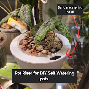 May include: A white pot riser for DIY self-watering pots, featuring a built-in watering hole. The pot contains a small plant with green and silver leaves and is filled with small brown rocks. The text "Built in watering hole!" is visible.