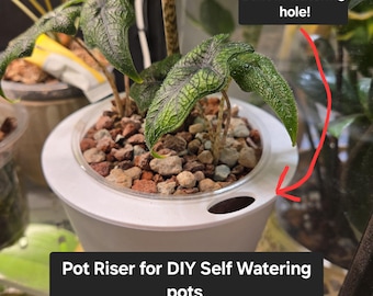 Nursery Pot Risers(5 Pack) for DIY Self Watering Pot Setup - Flat Disc ONLY