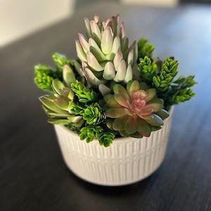 Small Succulent Arrangement in Round Ceramic Pot 6.5&quot;X7&quot;tall