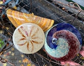 Glass Sea Shell Set of 3 Seashell Sculptures, Keyhole Limpet Razor Clam Sand Dollar, Natural Beige Brown Beach Art Decor, Avalon Glassworks
