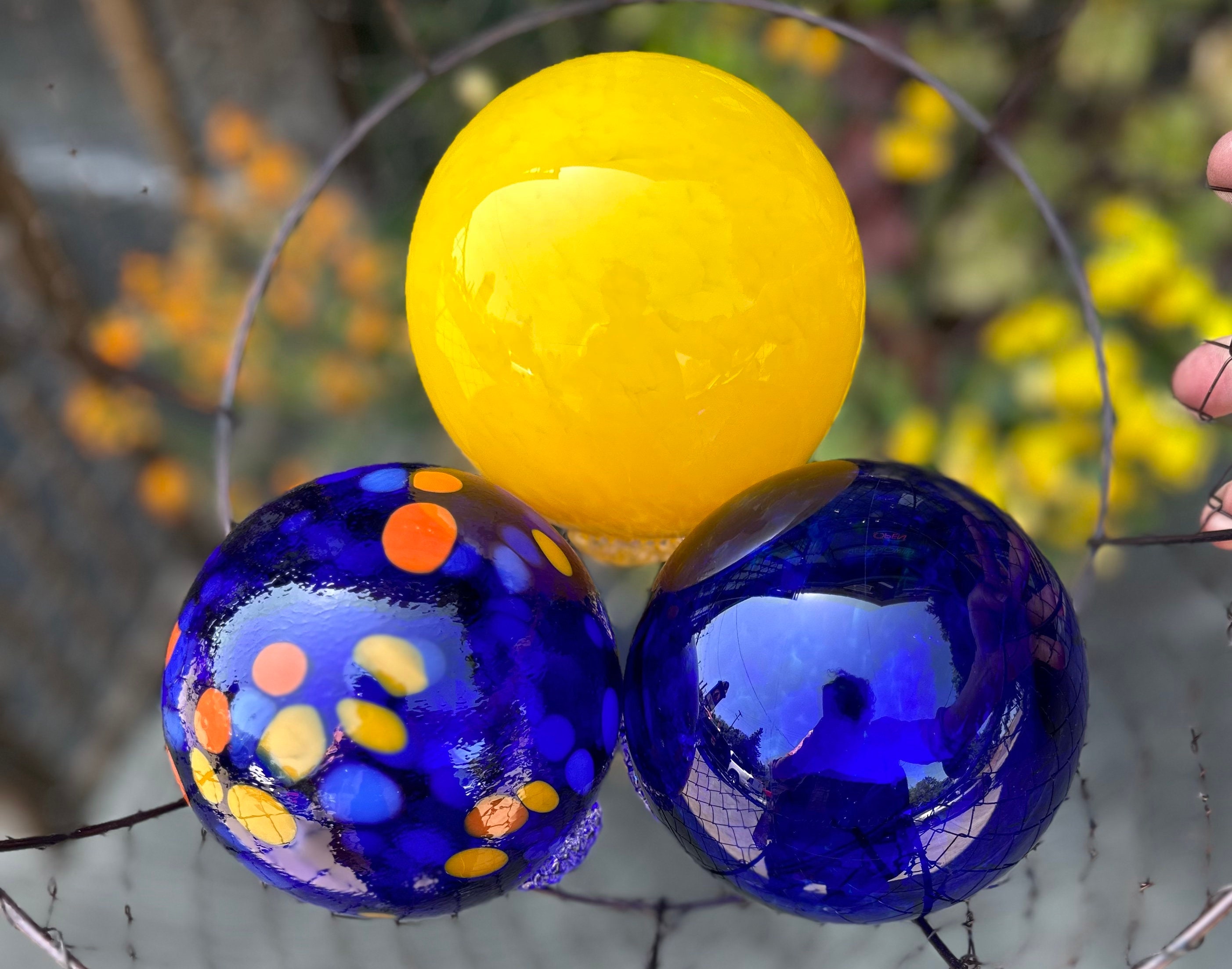 Blue & Yellow Floats, Set of 3 Hand Blown Glass Gaze Balls, 4.25