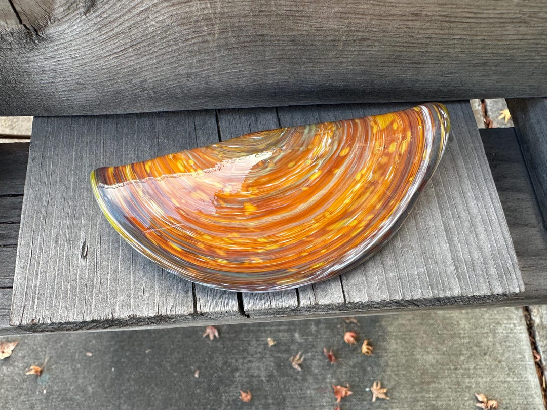 Glass Razor Clam, Decorative 5