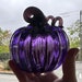 see more listings in the Glass Pumpkins section