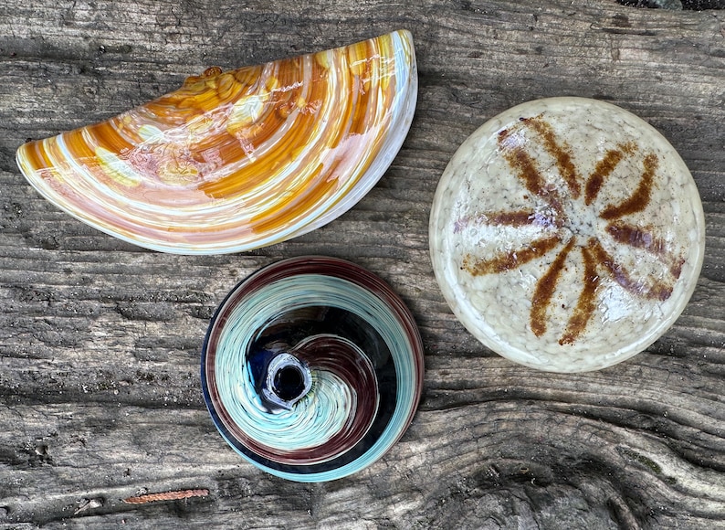 Glass Sea Shell Set of 3 Seashell Sculptures Keyhole Limpet image 1