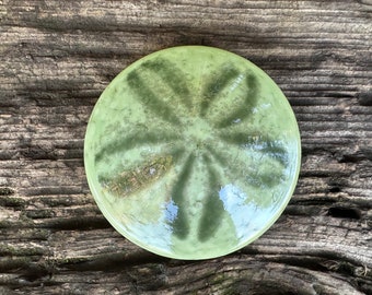 Olive Green Glass Sand Dollar, Solid 3" Paperweight, Table Decoration, Sea Shell Sculpture, Beach Coastal Nautical Art, Avalon Glassworks