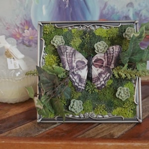 May include: A framed artwork featuring a moth with a skull design, set against a backdrop of green moss and faux succulents. The artwork is in a silver frame, with green leaves and a decorative glass jar with a white ribbon in the background.
