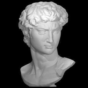 Head of David by Michelangelo Statue Sculpture Classical Art