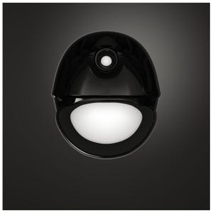 May include: A black, round, dome-shaped security camera with a white lens.