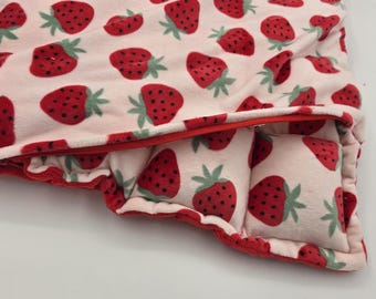 Strawberry doubled minky Sensory Weighted Lap Pad cover