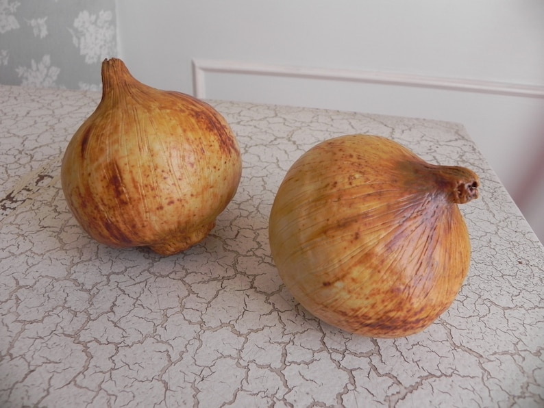 1 porcelain brown onion faux food super realistic sculpture photo stylist