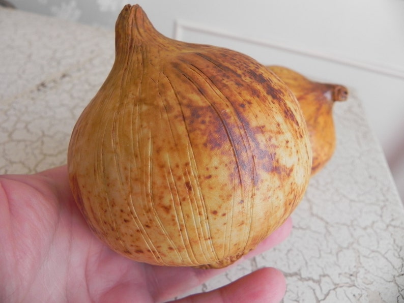 1 porcelain brown onion faux food super realistic sculpture photo stylist