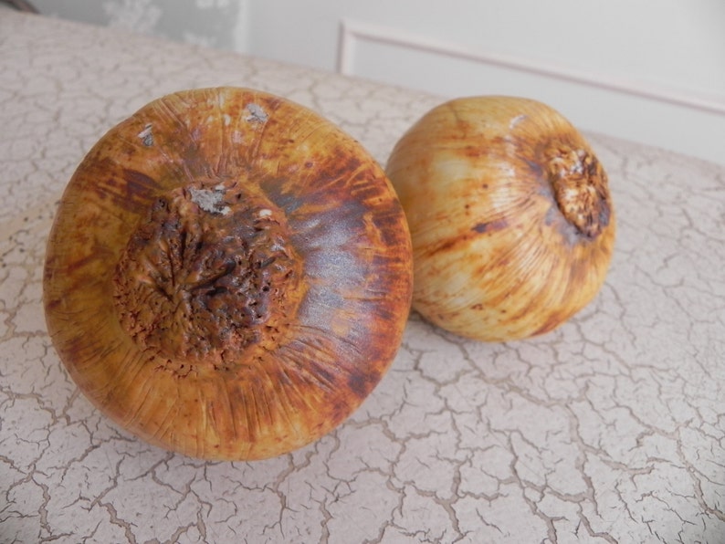 1 porcelain brown onion faux food super realistic sculpture photo stylist