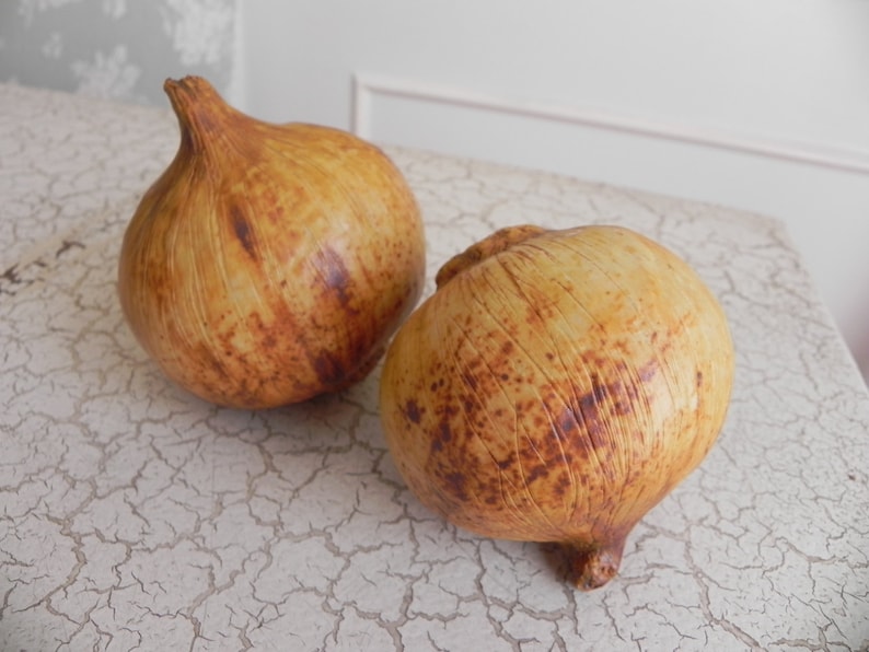 1 porcelain brown onion faux food super realistic sculpture photo stylist