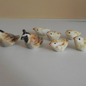 tiny ceramic quail family miniature birds