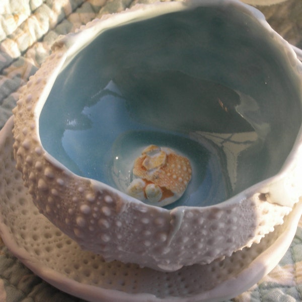 urchin bowl with shells