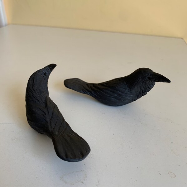 crow, raven pair