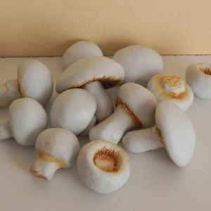 realistic porcelain mushrooms food display photo prop