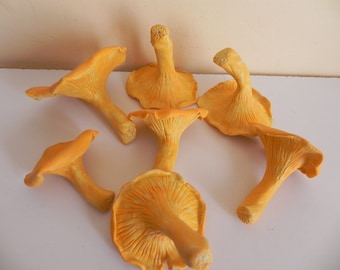 5 super realistic porcelain chanterelles mushrooms