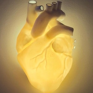 Anatomische Herz-Lampe