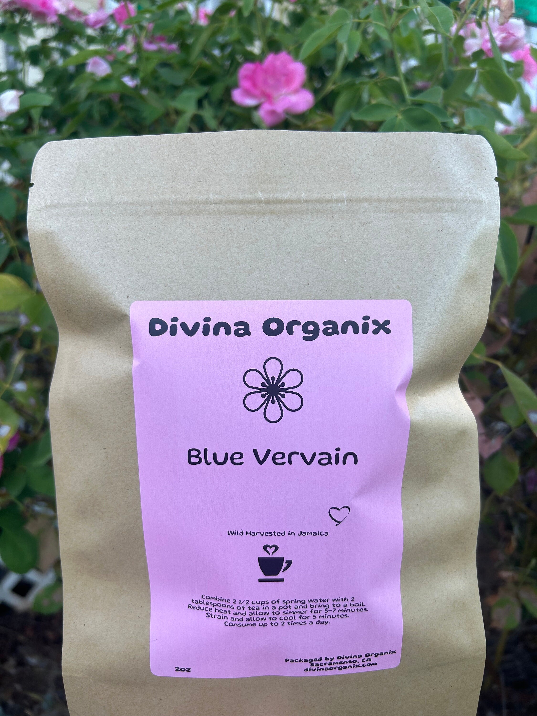 Organic Jamaican Blue Vervain Herb - Blue Porter Weed (1 X 6-8") Free Shipping