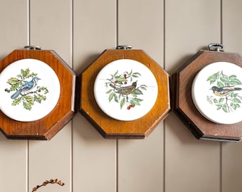 Wall Hanging Set, Warm Wood Frame, North American Birds Decor