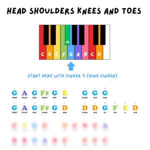 Peut inclure: Un clavier de piano coloré avec les lettres C, D, E, F, G, A, B et C affichées sur les touches. Le texte "HEAD SHOULDERS KNEES AND TOES" est en haut de l'image. Le texte "START HERE WITH FINGER 4 (RING FINGER)" est sous le clavier. Le texte "G A G F# G E" est affiché au-dessus du texte "Head shoulders knees and toes". Le texte "G A G F# G D" est affiché au-dessus du texte "Head shoulders knees and toes". Le texte "G G G" est affiché au-dessus du texte "knees and toes". Le texte "D D G F E D" est affiché au-dessus du texte "knees and toes a- and".