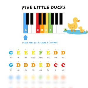 Può includere: Illustrazione musicale per bambini con una tastiera di pianoforte, il testo "FIVE LITTLE DUCKS" e una famiglia di anatre dei cartoni animati. L'immagine include una guida alla notazione musicale.